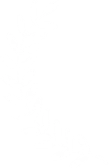 a1-vector-1