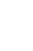 a1-vector-2